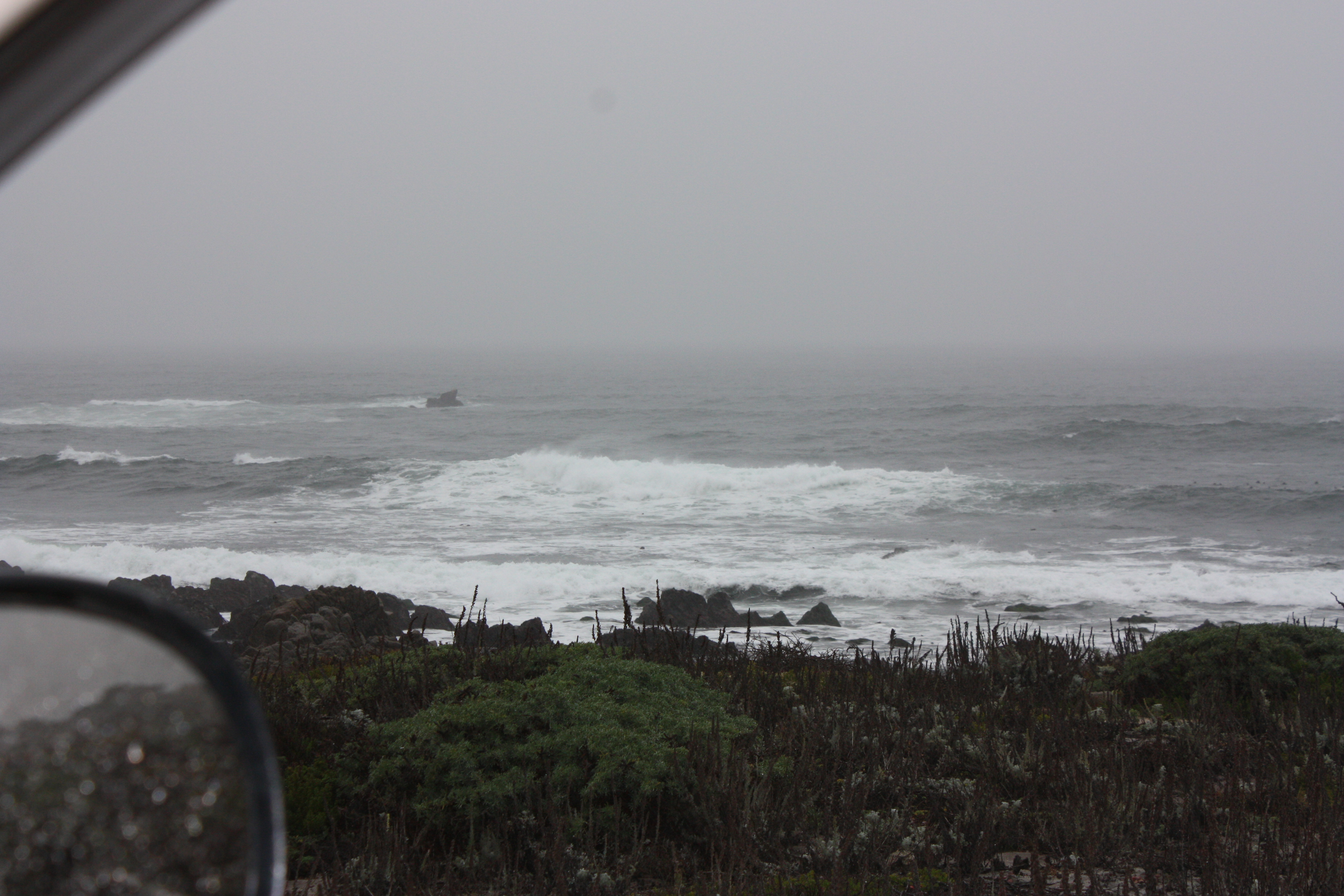Monterey trip picture