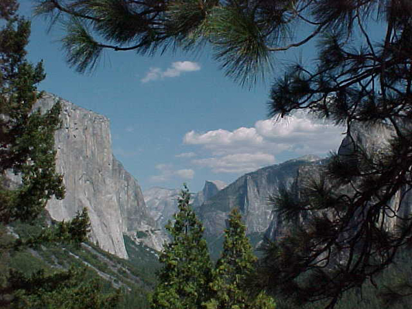 Yosemite trip picture