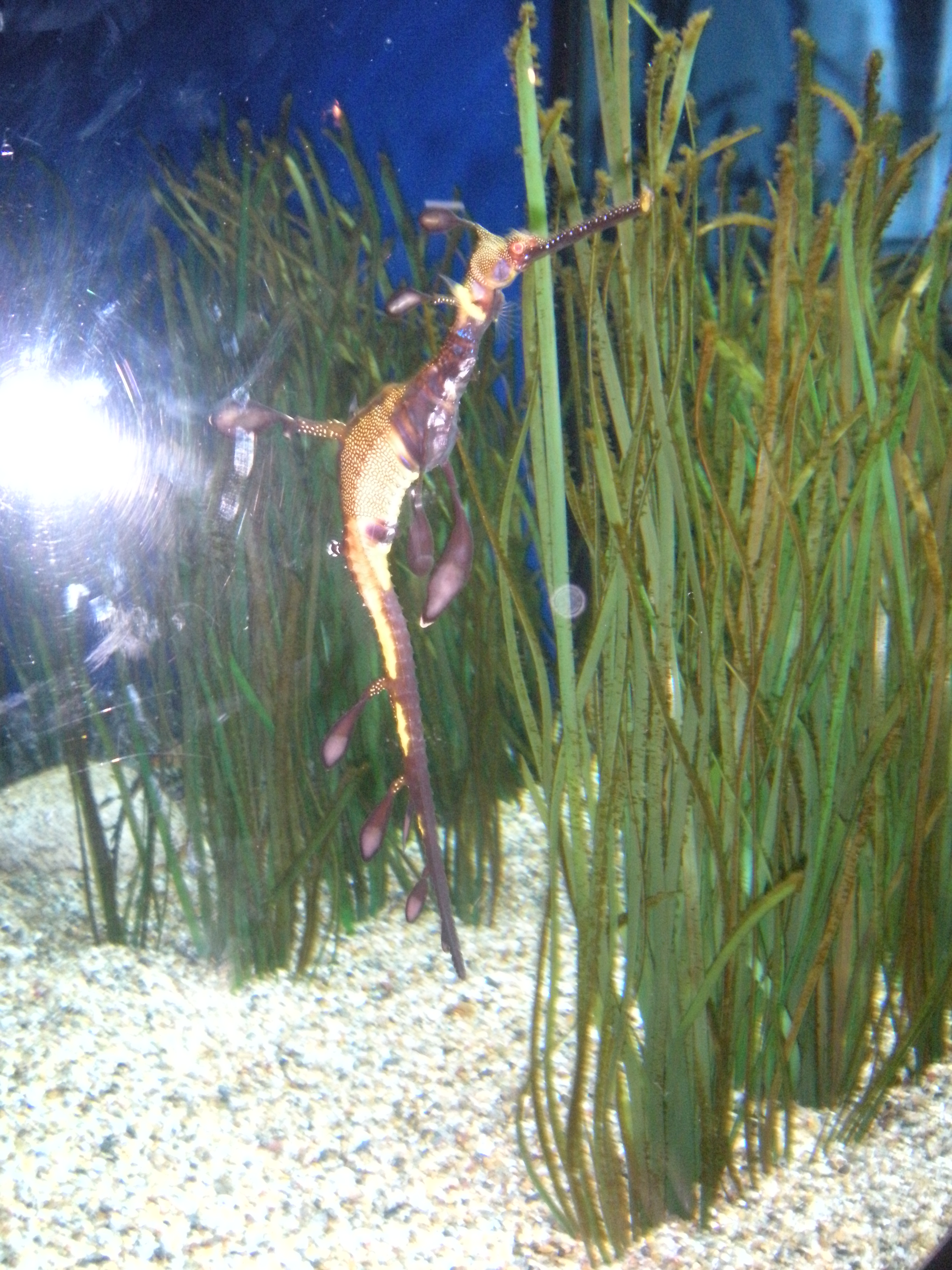 Aquarium trip picture
