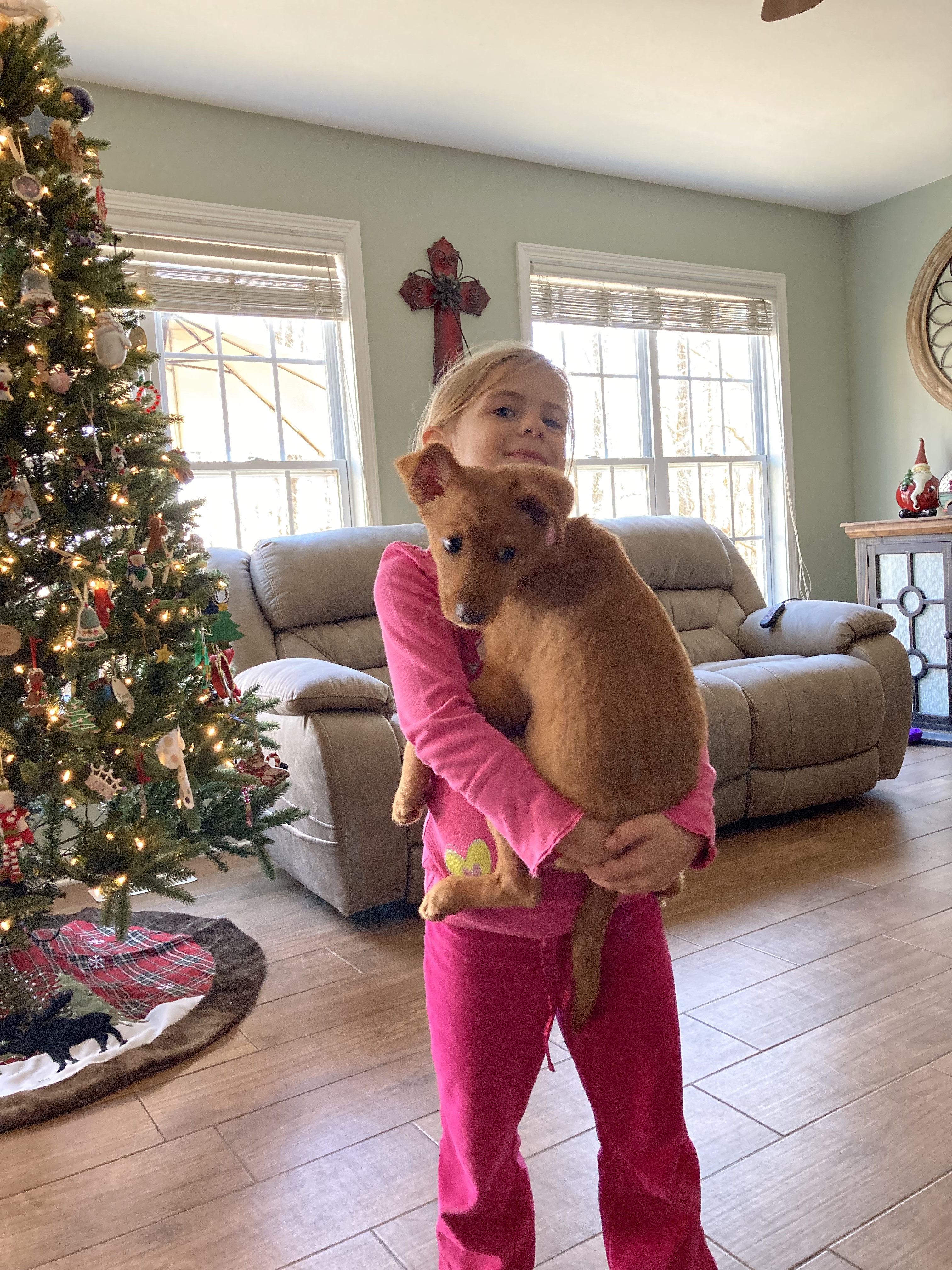 picture of Sadie